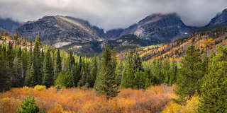 Nest on 30th - Affordable Housing Gallery 8