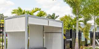 Palm Grove Gallery 28