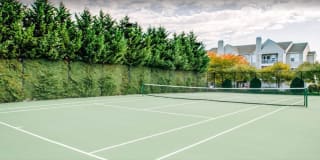 Windsor Commons Gallery 19