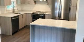 19 Hewetson Rd Gallery 1