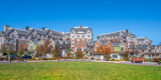 Arlington 360 Gallery 18