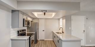 Rise on Cactus Gallery 17