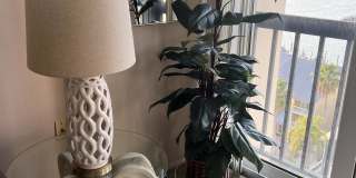 255 Dolphin Point Gallery 11