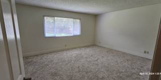 Orcutt Single Story Recently Updated Home with Large Yard Gallery 26