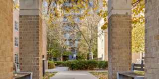 AVA Ballston Gallery 25