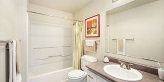 Rainier Pointe Gallery 22