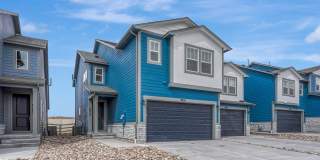 8210 Grey Bark Way - 1 Gallery 1