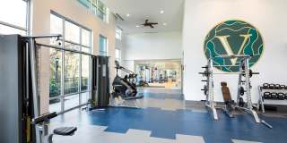 Vine North Hills Gallery 4