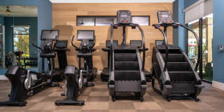 The Strand Gallery 28