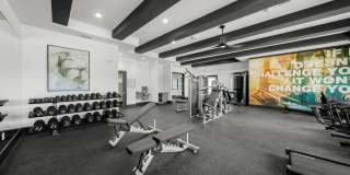 Revello Apartments Gallery 79