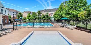 Reid's Prospect Gallery 15