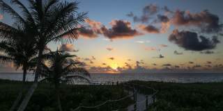 Worthing Place Gallery 37