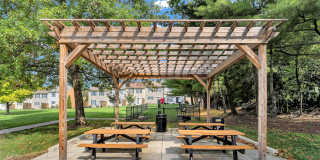 Linden At Elmtree Gallery 10