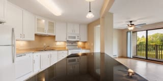 Lakewood Hills Gallery 1