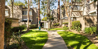 Mountain View (San Dimas) Gallery 19