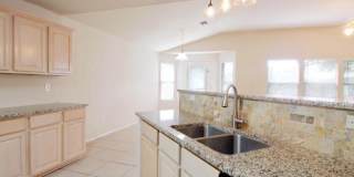 7326 Tamburo Gallery 9