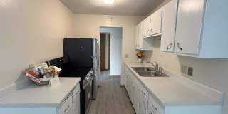 Marjon Terrace Gallery 4