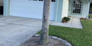 461 Daniels Pointe Drive Gallery 1