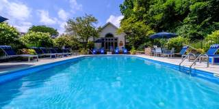Lake Forest Apartments Gallery 13