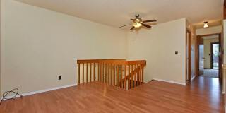 Huge yard with Pikes Peak Views! Gallery 5