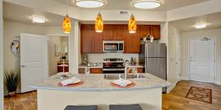 Hills at Sandy Station Gallery 3