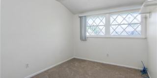 11543 Swinton Gallery 15