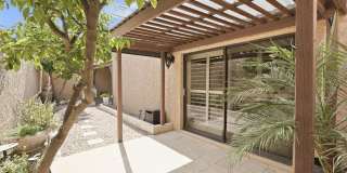 7519 N Via Camello Del Sur Gallery 22