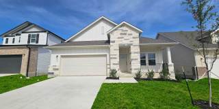 SPRINGFIELD PLAN Gallery 1