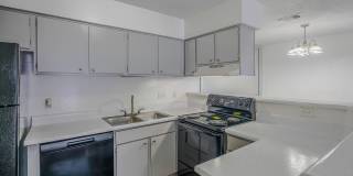 Ironhorse Flats Ironhorse Flats Gallery 29