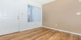 The Palisades Gallery 4