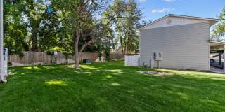 Sugar Pine Gallery 32