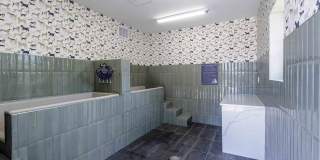 The Felicity on Perry Gallery 19