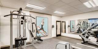 The Harlow Gallery 36