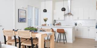 Oasis at Round Rock Gallery 7