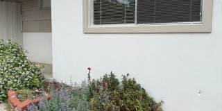 485 Finley St #3 · Auburn, CA 95603 1 Bed / 1 Bath · 600 sq ft · $1,250/mo Gallery 1