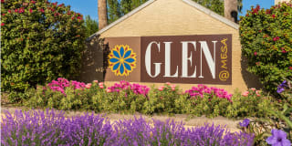 Glen at Mesa Gallery 22