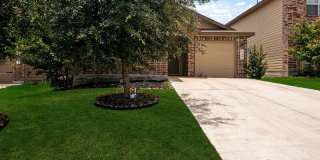 15446 Shortwing Gallery 1