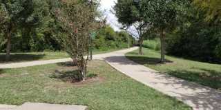 1202 Brunswick Ct Gallery 34