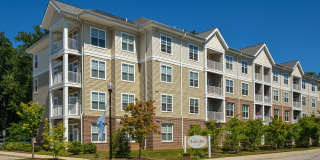 Orchard Park Gallery 33