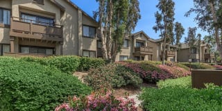 Spring Lakes Apartment Homes Gallery 20