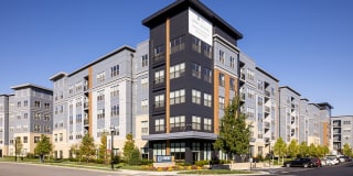 The Emery at Overlook Ridge Gallery 9