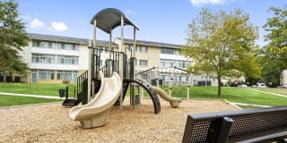 Evergreens at Laurel Gallery 11