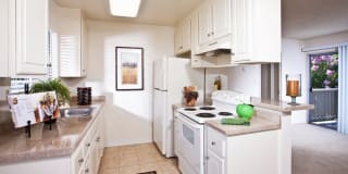 Pruneyard West Gallery 19