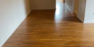 Graduate and Professional Gallery 95