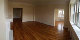 New King Edward Gallery 239