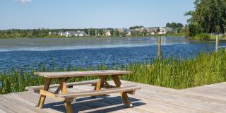 Harmon Foxbank Gallery 40