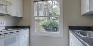 Shorewood Gallery 40