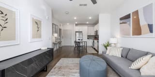 Arlow at Blue Ridge Gallery 10