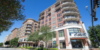 Arrive River Oaks Gallery 42