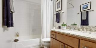 63 Aster Drive unit: 1824 Gallery 16